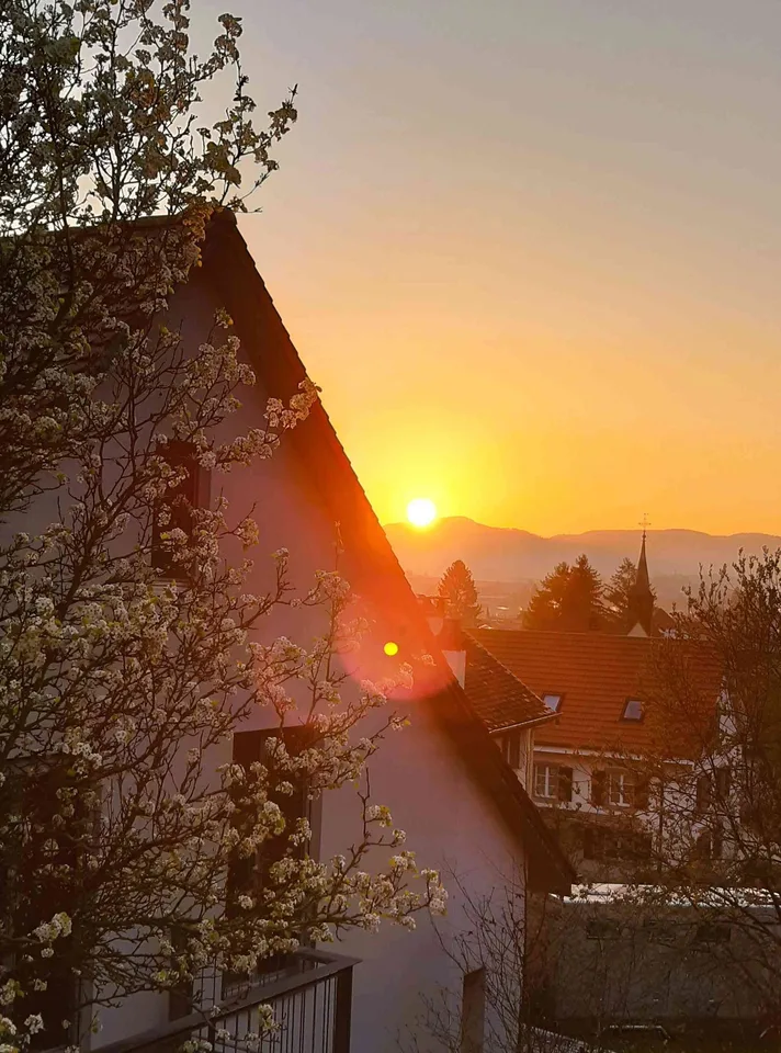 Reihenmittelhaus Whg mit Veranda und kleiner Gartenoase