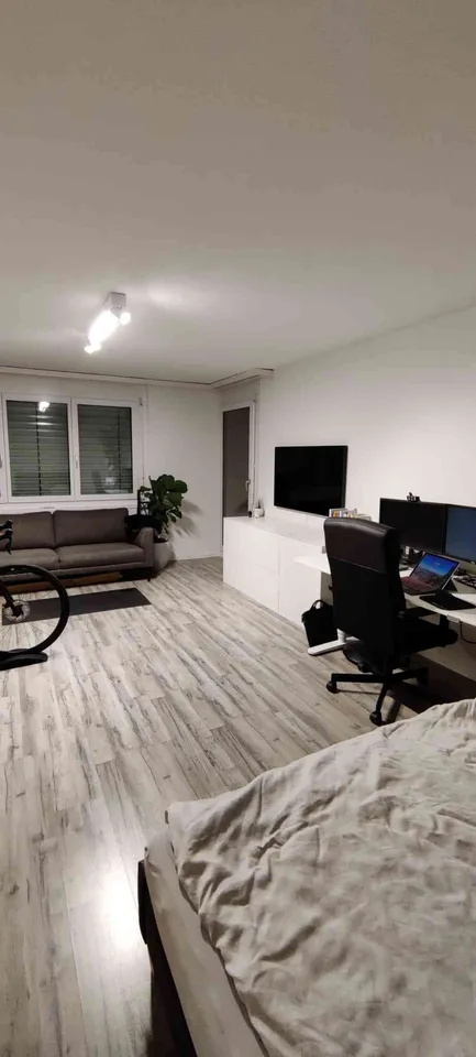1.5-Zimmerwohnung