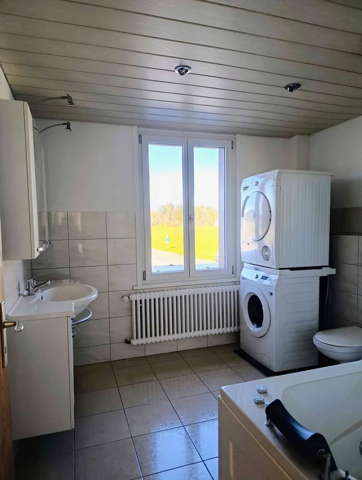 3.5 Zimmer Wohnung in Birwinken