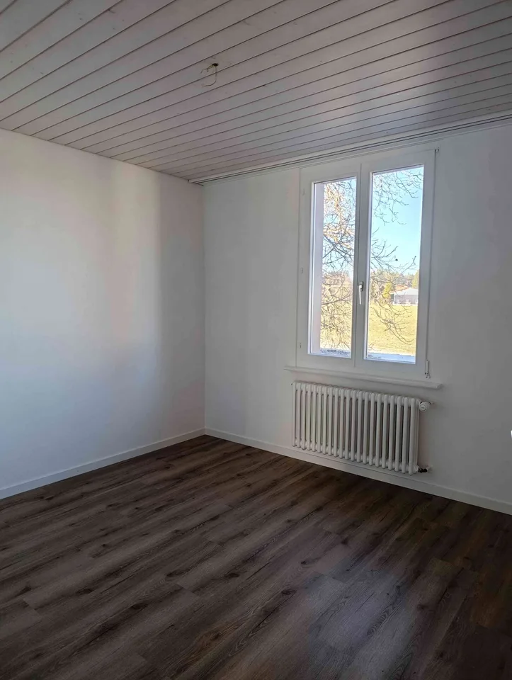 3.5 Zimmer Wohnung in Birwinken