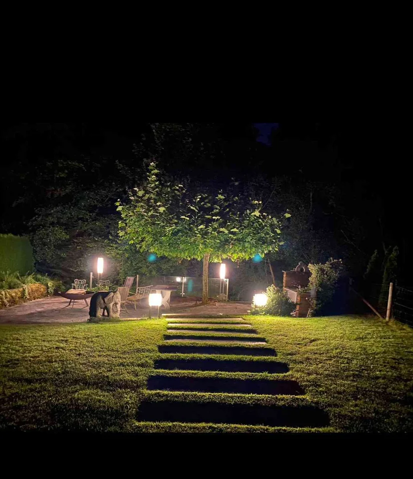 6.5 room house in forest