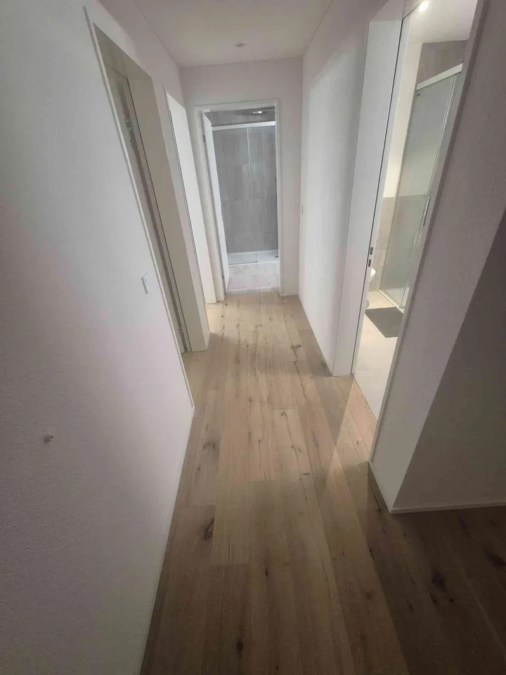 Schöne und moderne 4,5 Zimmer-Wohnung in Morschach
