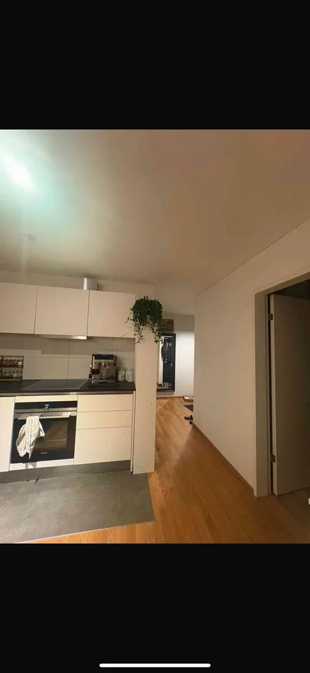 2 1/2 Zimmer Neubau Wohnung mit Wäscheturm