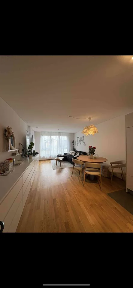 2 1/2 Zimmer Neubau Wohnung mit Wäscheturm
