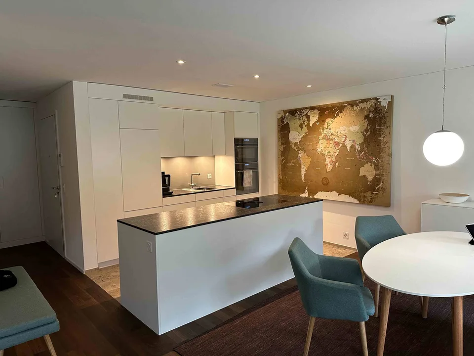 Neu: Luxus-Wohnung mit Blick auf die Sihl
