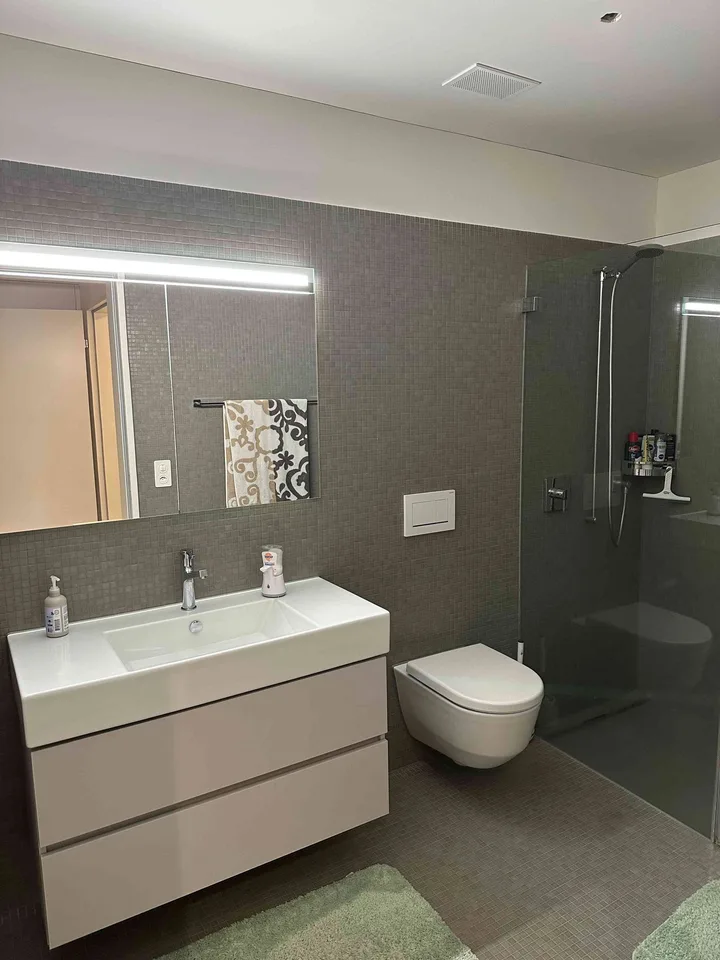 Neu: Luxus-Wohnung mit Blick auf die Sihl