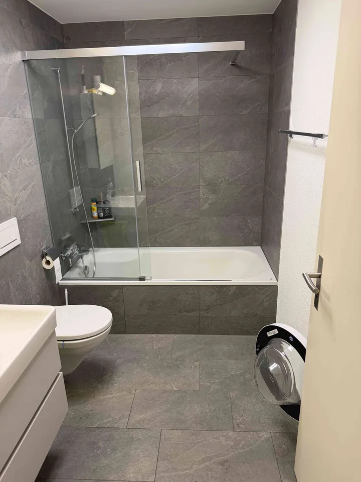Nachmieter für 4.5 Zimmer Wohnung gesucht