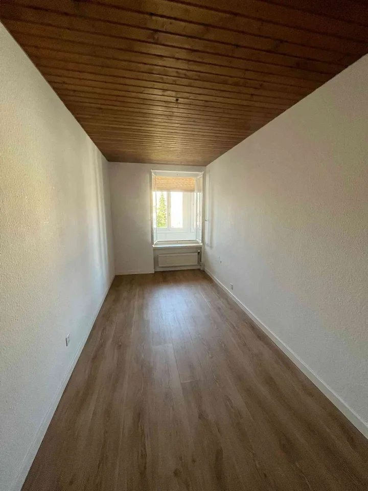 Maisonette Wohnung in Birsfelden