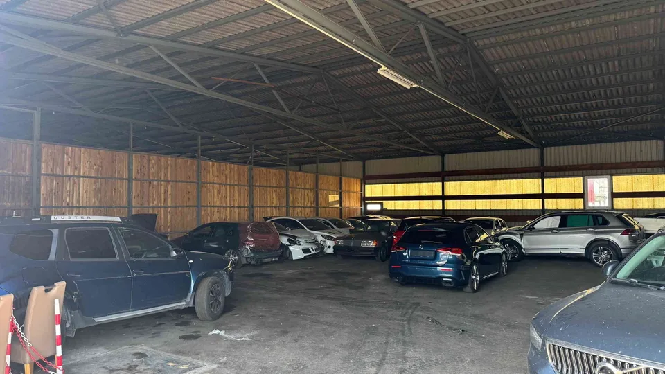 Gewerbe Lager / Halle / Garage / Werkstatt zu vermieten in Aesch (LU)