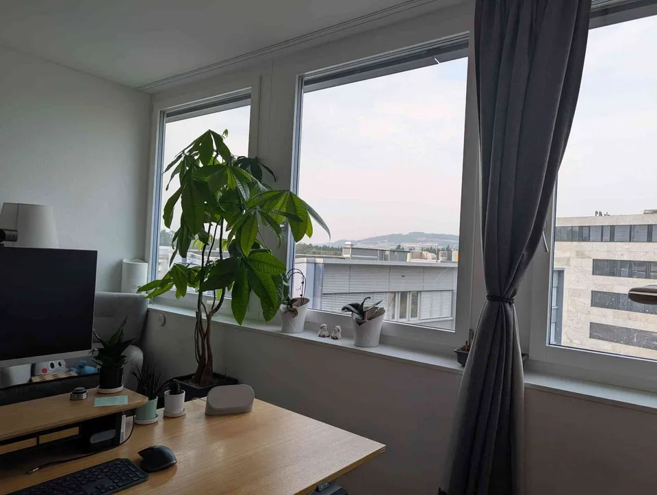 4.5-Zimmerwohnung im Buchenhof