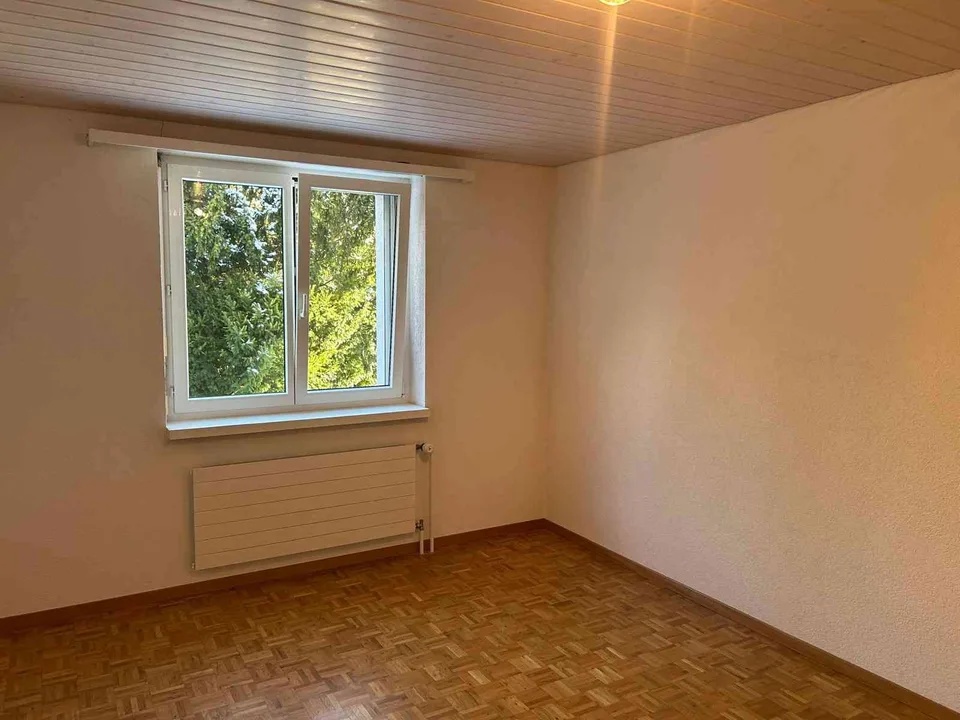 Gemütliche 2.5-Zimmer-Wohnung im Hochparterre in Widnau mit Terrasse
