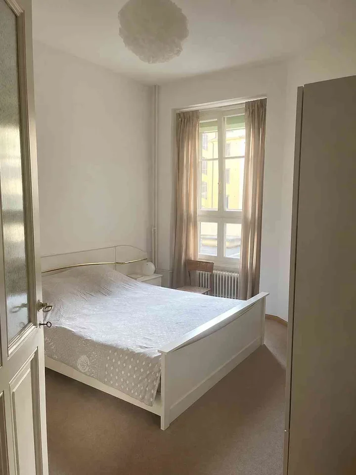 Short medium term rental furnished 60m² apartment in Pâquis