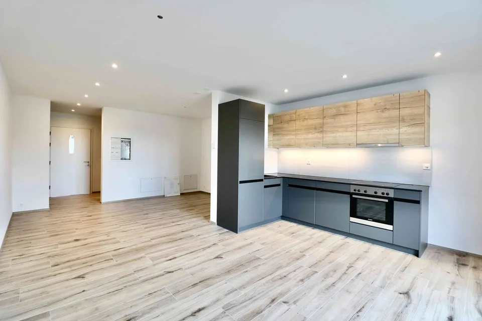 Zum Mieten: Neuwertige und grosszügige 1.5-Zi. Wohnung in Safenwil