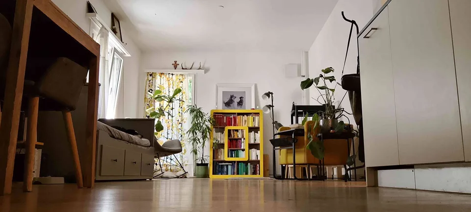 2 1/2 Wohnung in Wabern mit Garten
