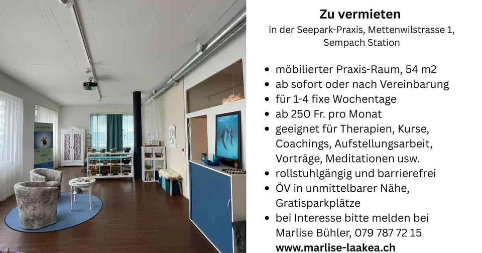 Grosser, heller und ruhiger Praxis- und Schulungsraum