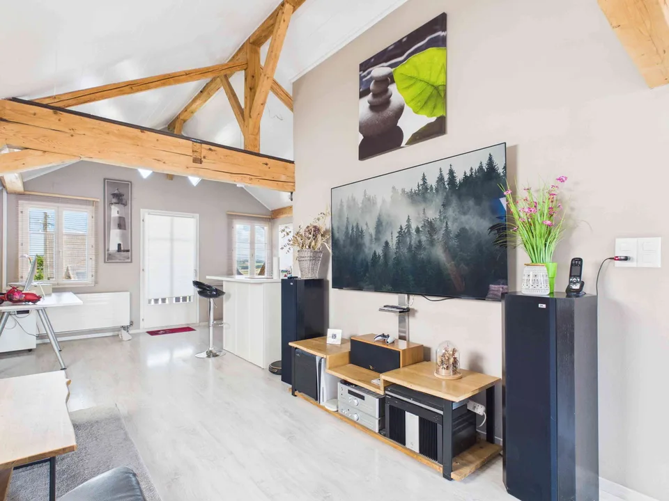 À vendre charmante maison individuelle 6.5 pces + studio indépendant