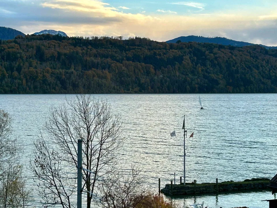 Exklusives Single-Bijou mit See-Panorama und Schwedenofen