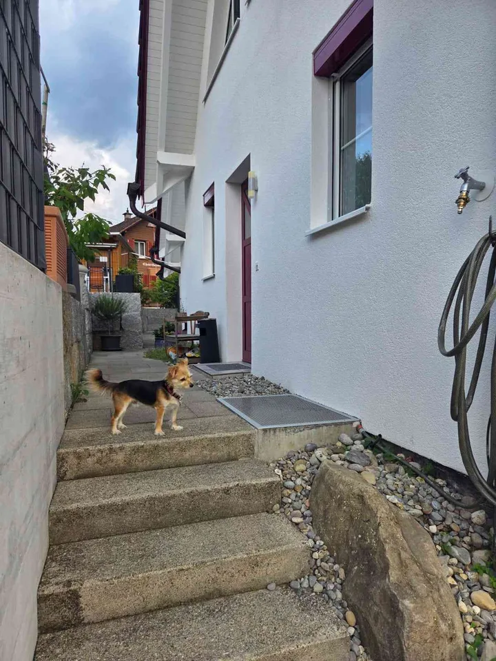Charmantes 4.5-Zimmer-Reiheneinfamilienhaus mit Terrasse und Balkon