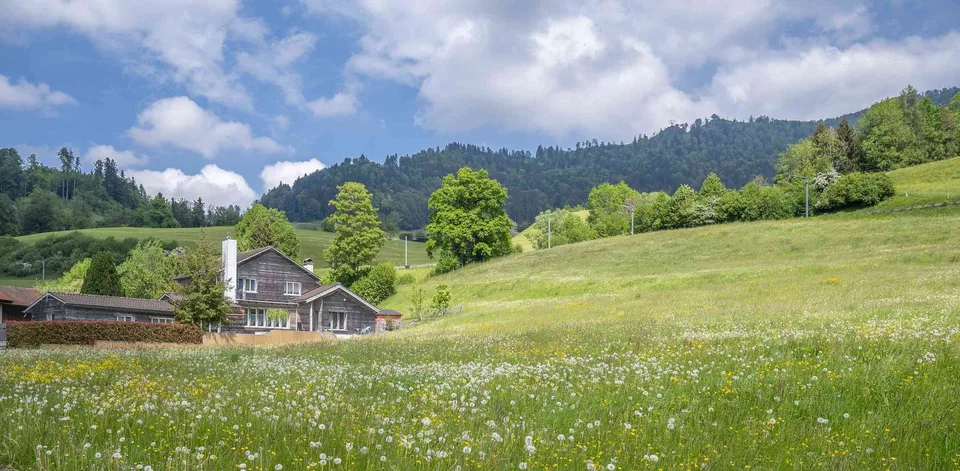 Exklusives Landhausidyll 3’874 m², mit grossem Naturteich & Alpenblick