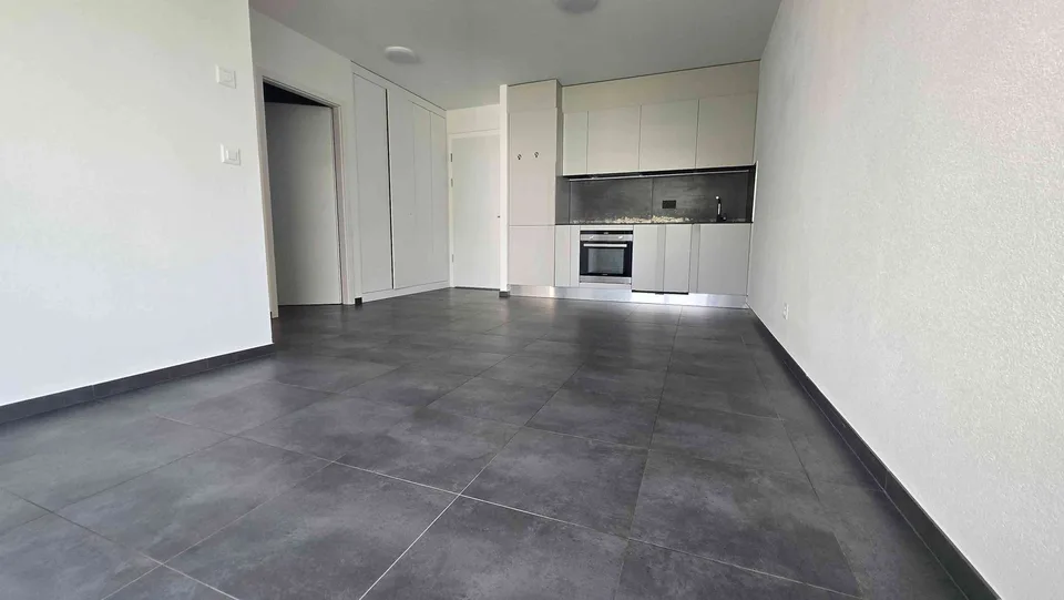 Bel appartement 2.5 pièces – Rue Oscar Bider 100, Sion