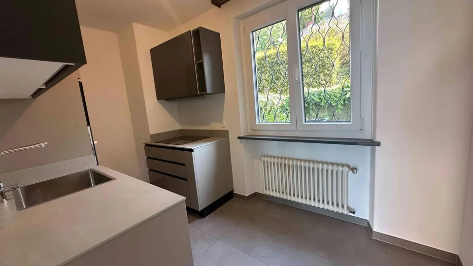 neu renovierte 2.5 Zimmer Wohnung in Brione s.M. mit Seesicht und PP