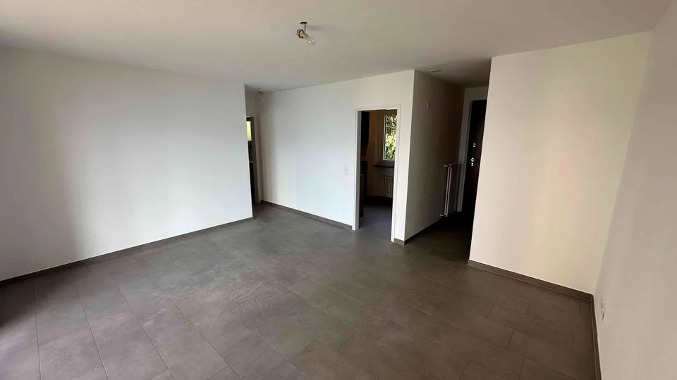 neu renovierte 2.5 Zimmer Wohnung in Brione s.M. mit Seesicht und PP