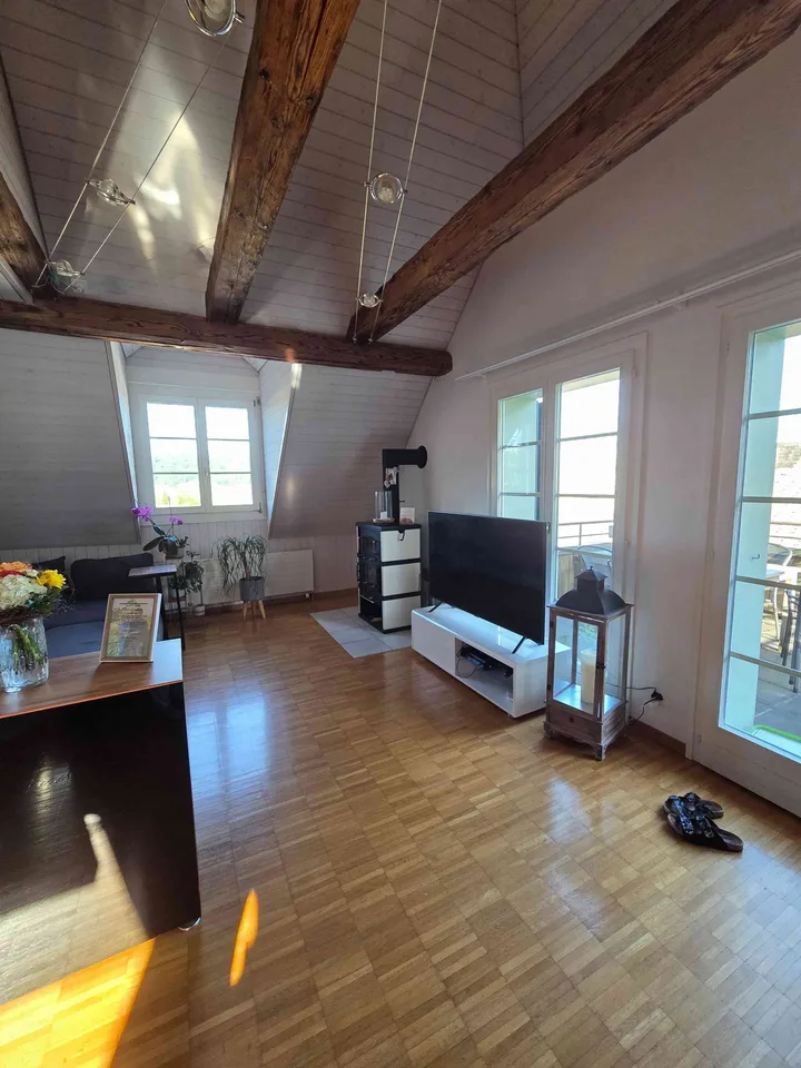 Kopie Zentrale helle Dachwohnung