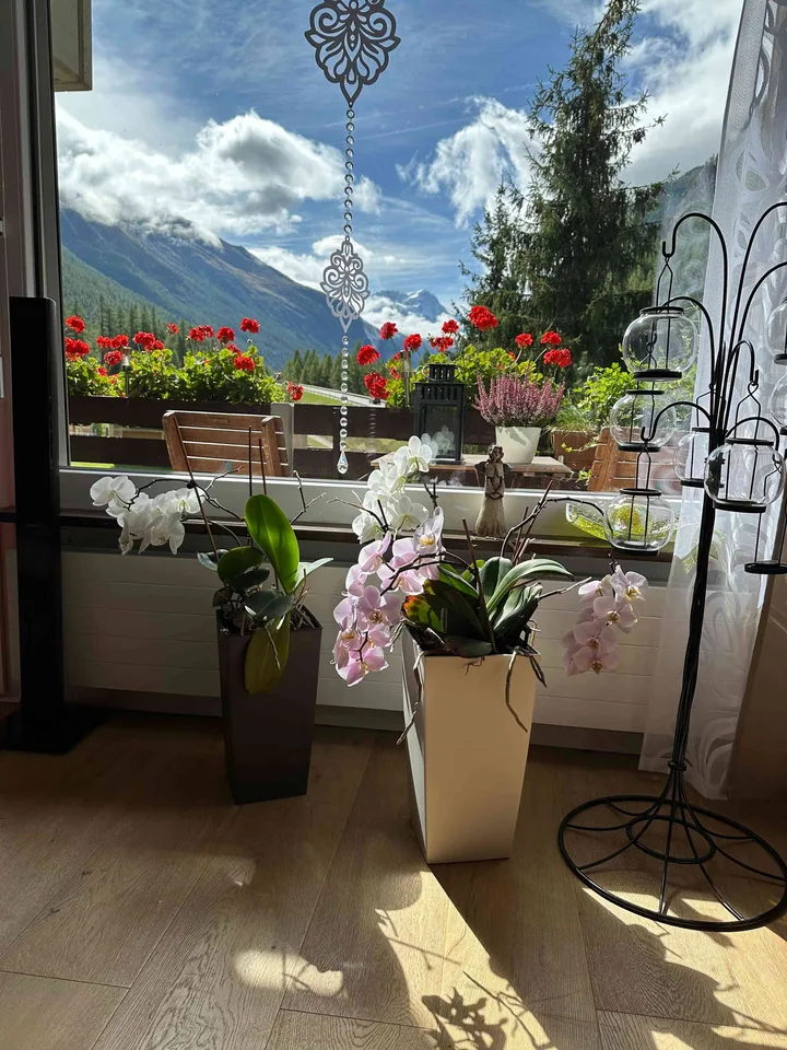 Wohnung in Dauermiete