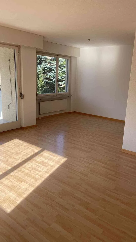 Schöne 4.5 Zimmer-Wohnung im Grünen !