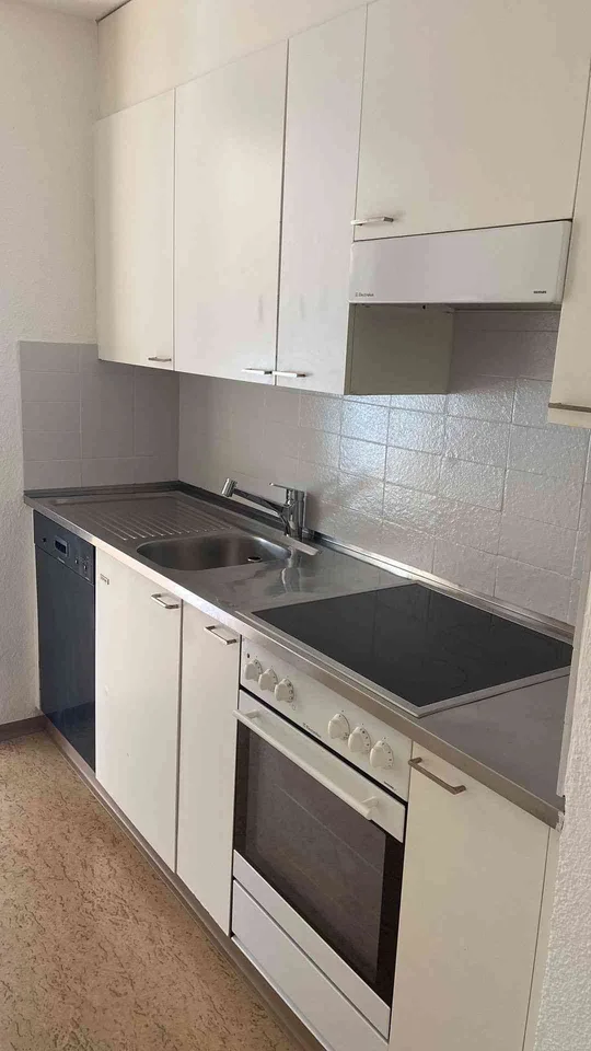 Schöne 4.5 Zimmer-Wohnung im Grünen !