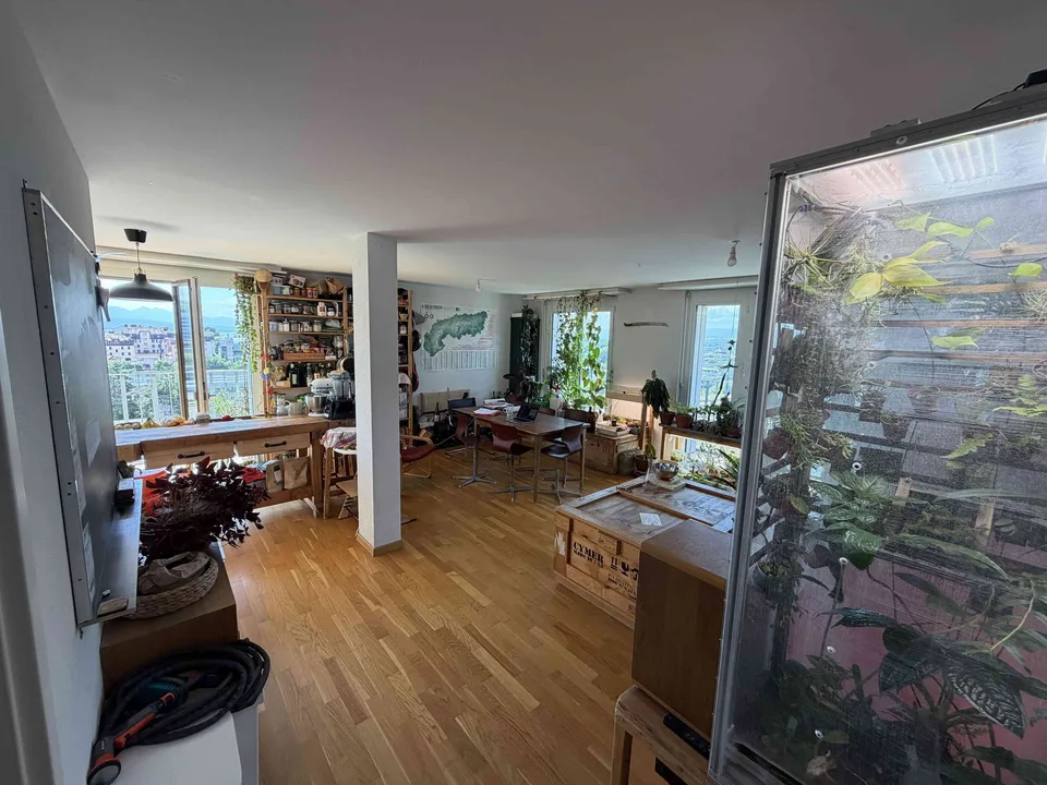 Looking for a flatmate for our family home in Sévelin