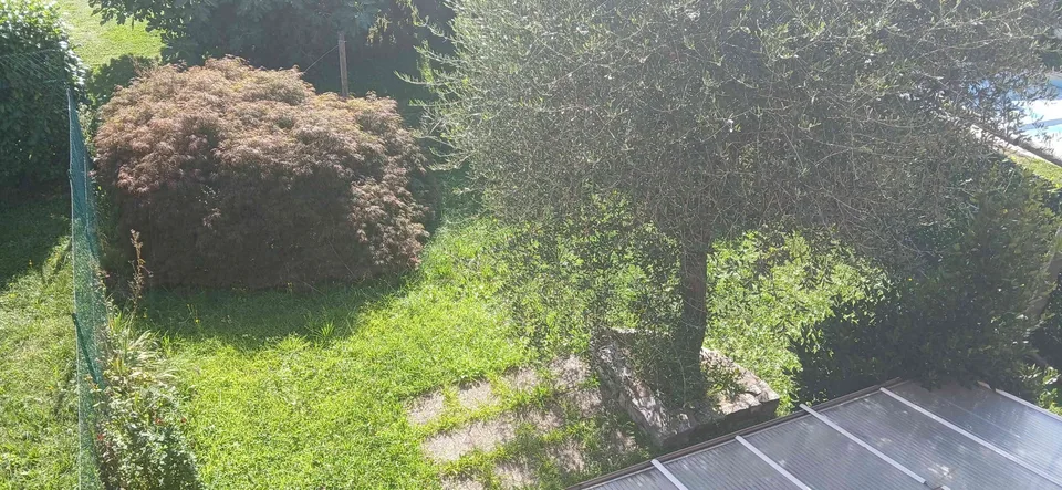 Chiasso, Pedrinate