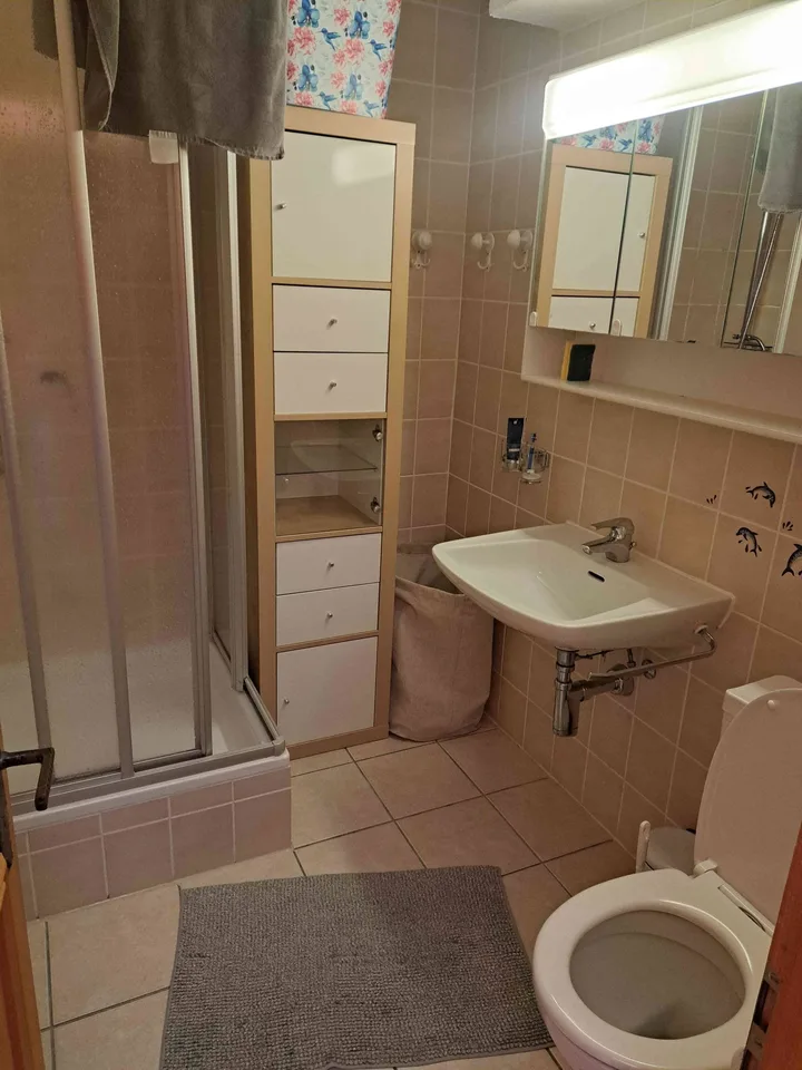 möblierte sehr sonnige 3-Zimmer-Ferienwohnung im Blatten Belalp
