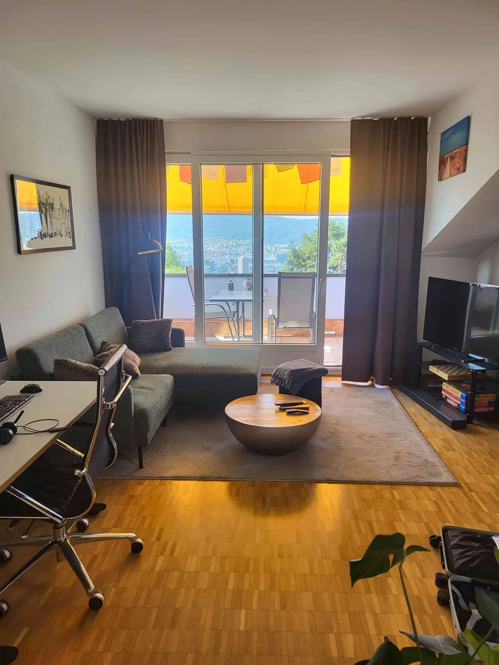 Appartamento con vista sulla città di Zurigo in affitto