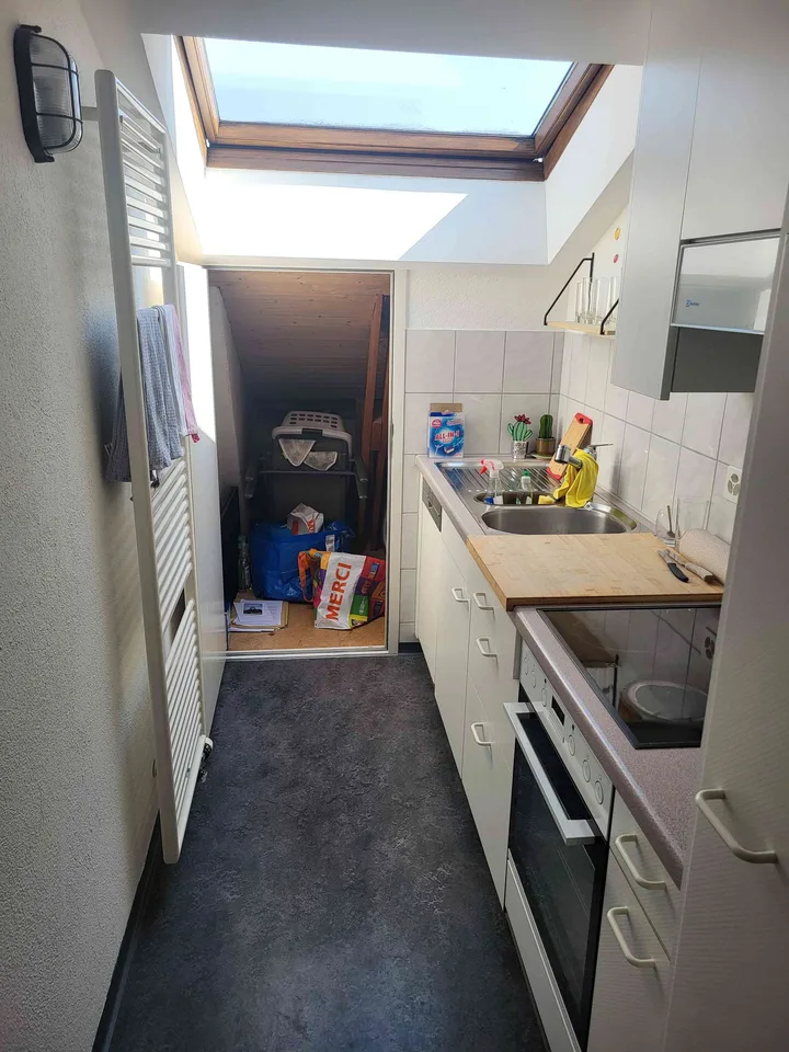 Appartamento con vista sulla città di Zurigo in affitto