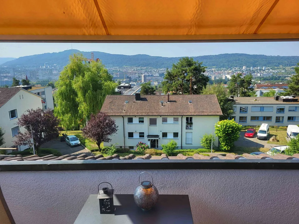 Appartamento con vista sulla città di Zurigo in affitto
