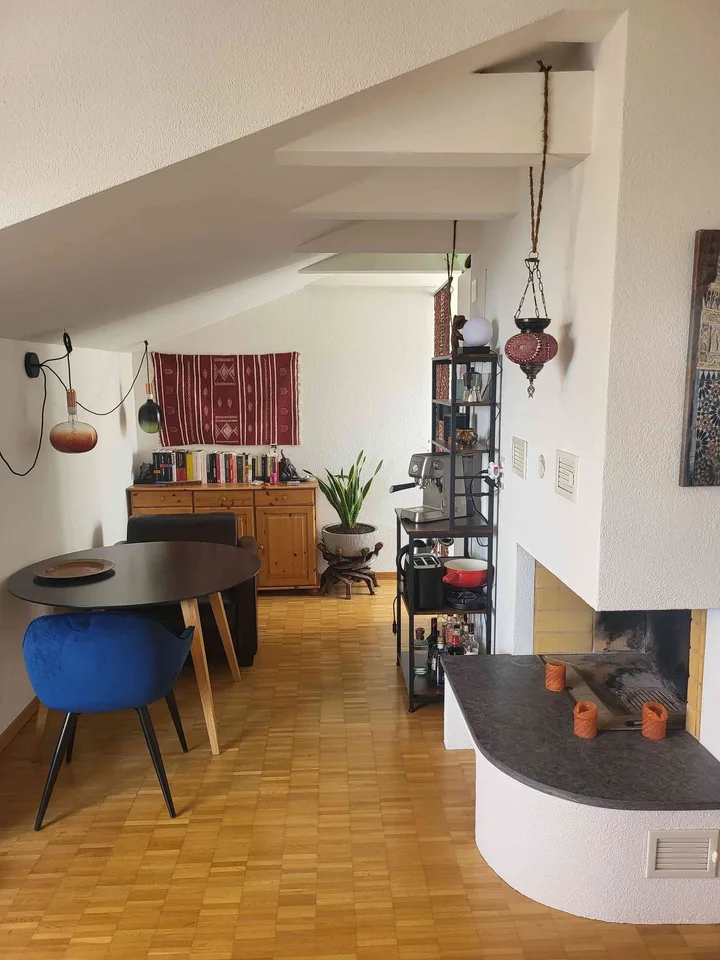 Appartamento con vista sulla città di Zurigo in affitto