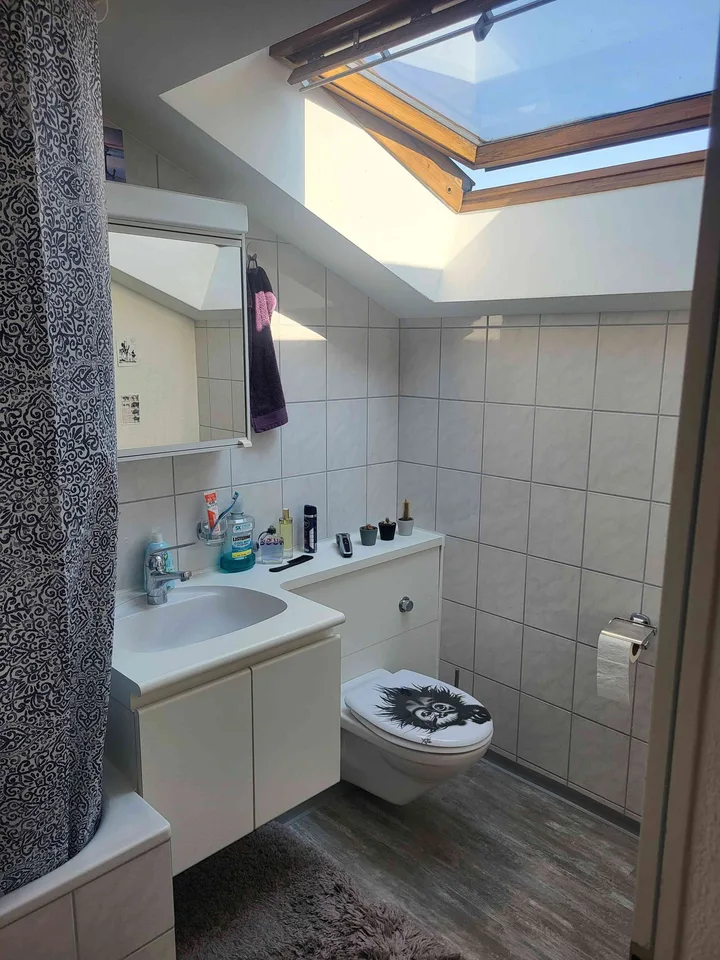 Appartamento con vista sulla città di Zurigo in affitto
