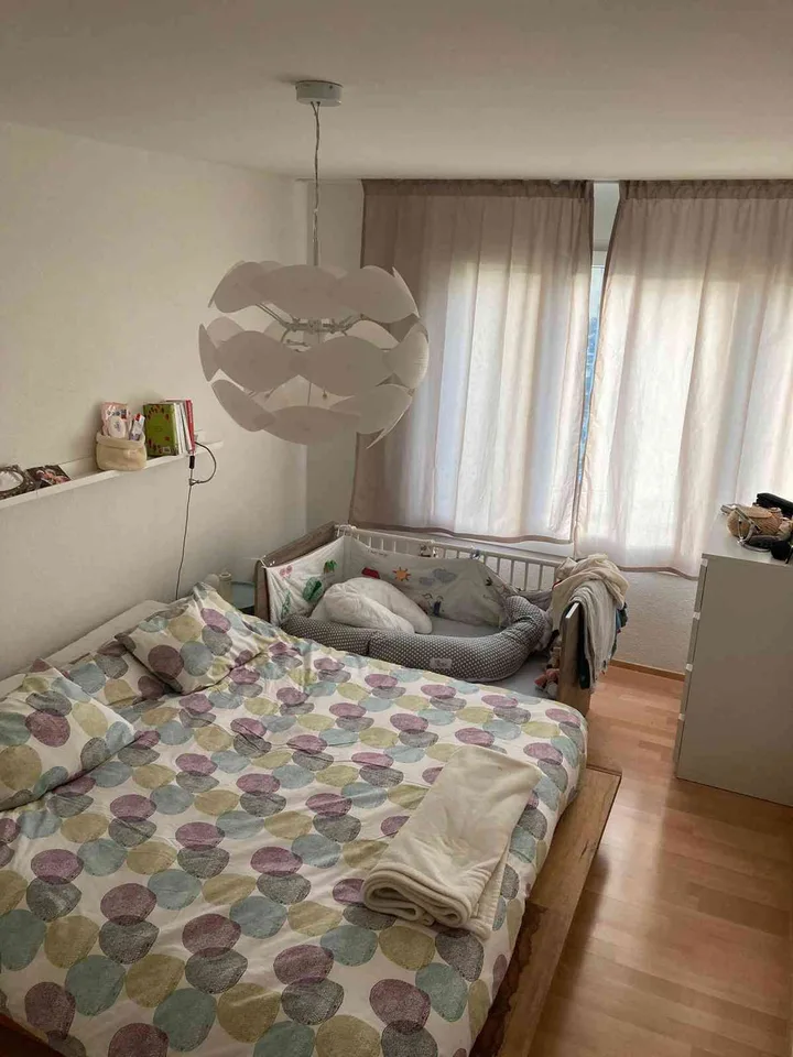 Sunny 4.5-Room Apartment with Panoramic Views – Zurich 8041