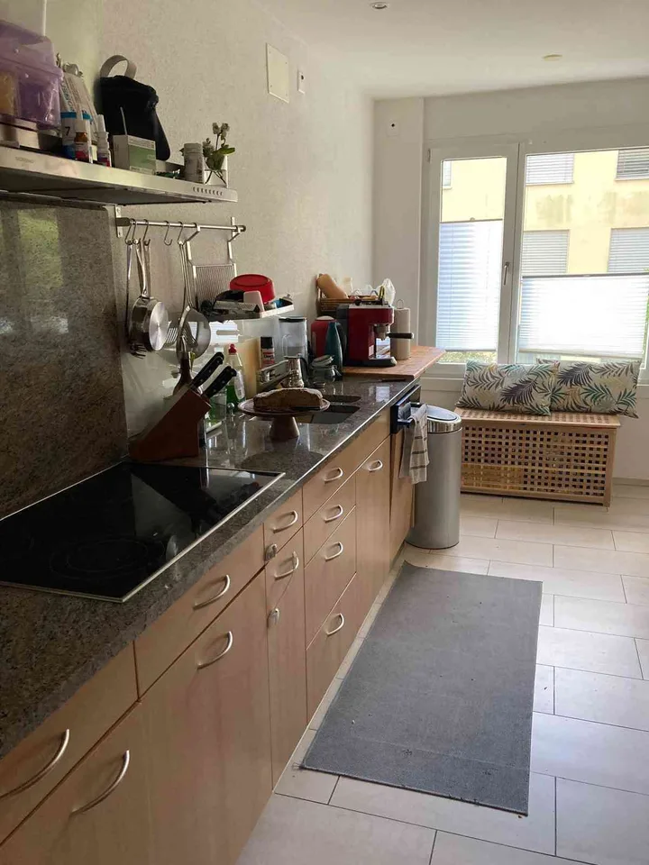 Sunny 4.5-Room Apartment with Panoramic Views – Zurich 8041