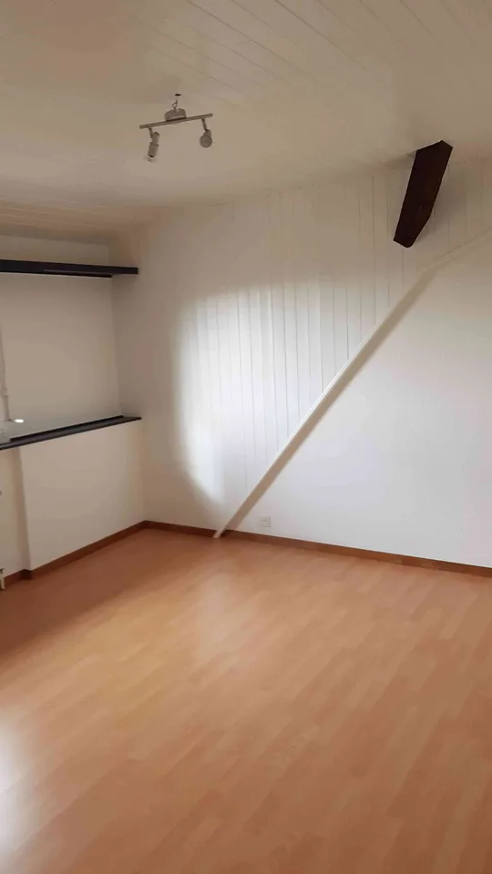 Lumineux appartement entièrement rénové