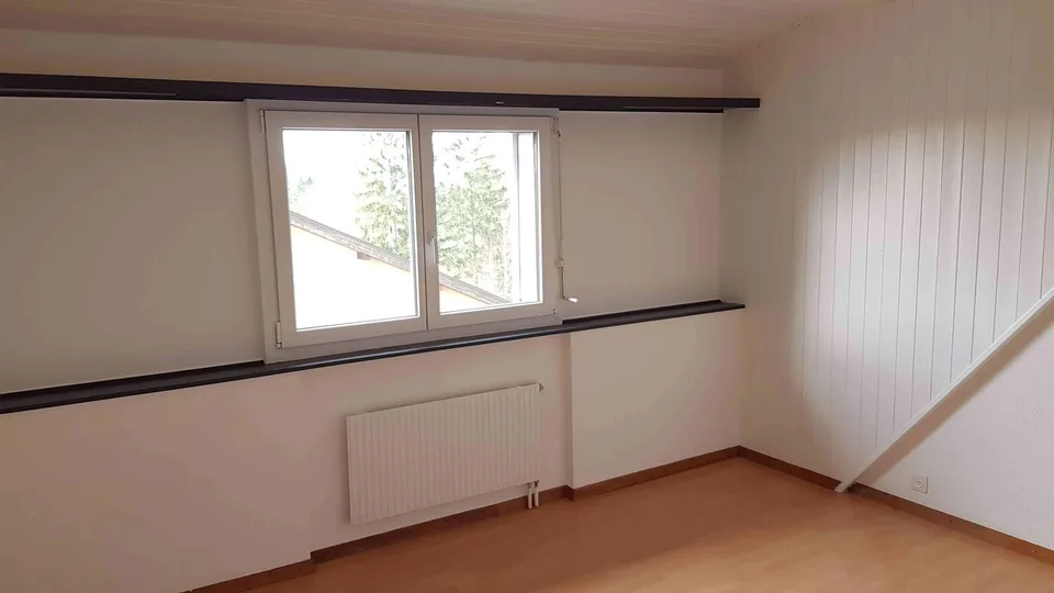 Lumineux appartement entièrement rénové