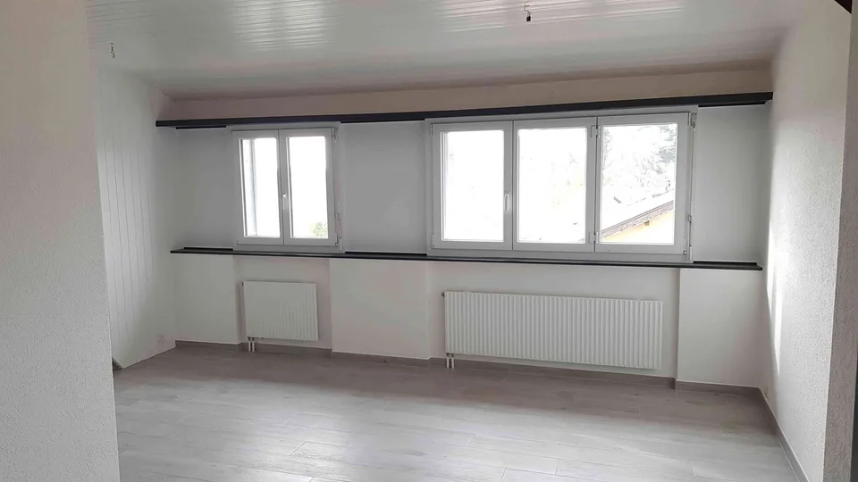 Lumineux appartement entièrement rénové
