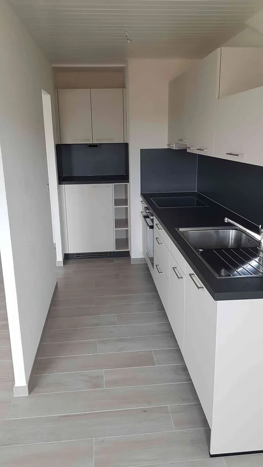 Lumineux appartement entièrement rénové