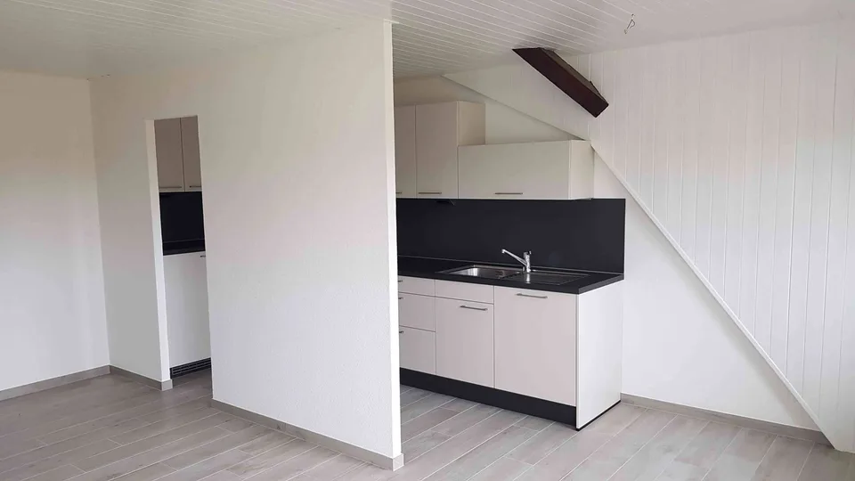 Lumineux appartement entièrement rénové
