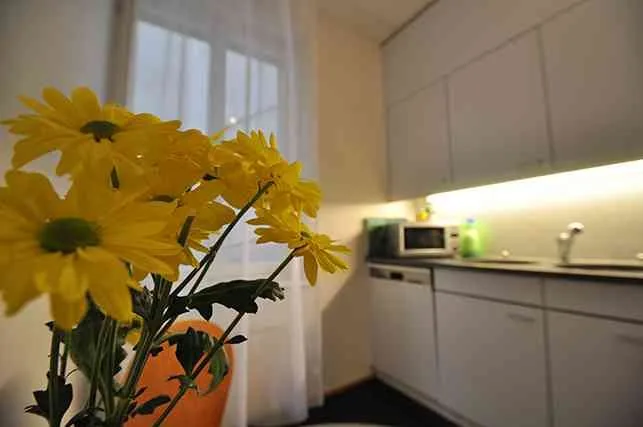 kiwihomes.ch Top HOT SPOT, 180 & 100 beds, wm, all @ yr doorstep 2525
