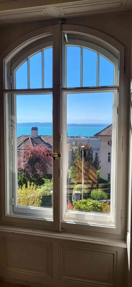 Très grand et lumineux appartement entièrement rénové, cachet, vue lac