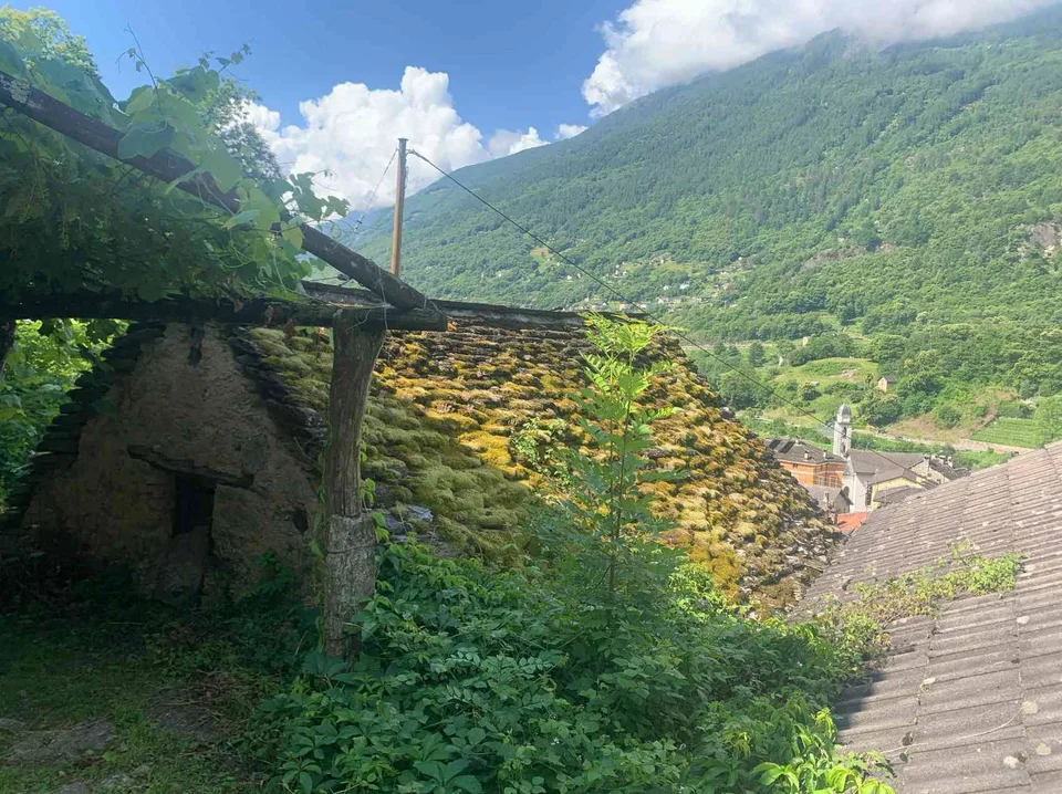 Grotto / Schaukäserei Rustico im Tessin