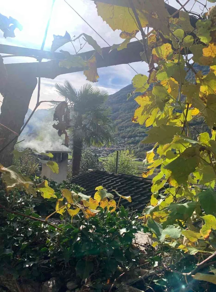 Grotto / Schaukäserei Rustico im Tessin