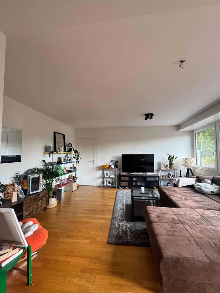 Nachmieter Gesucht ab Oktober, schöne grosse Wohnung